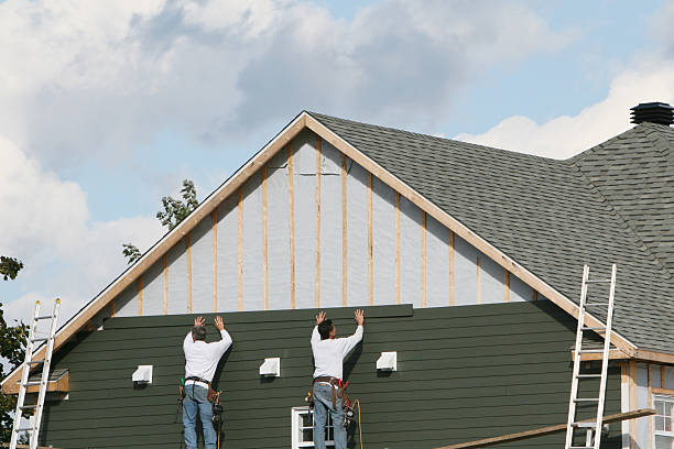 Best Vinyl Siding Installation  in Danvers, IL